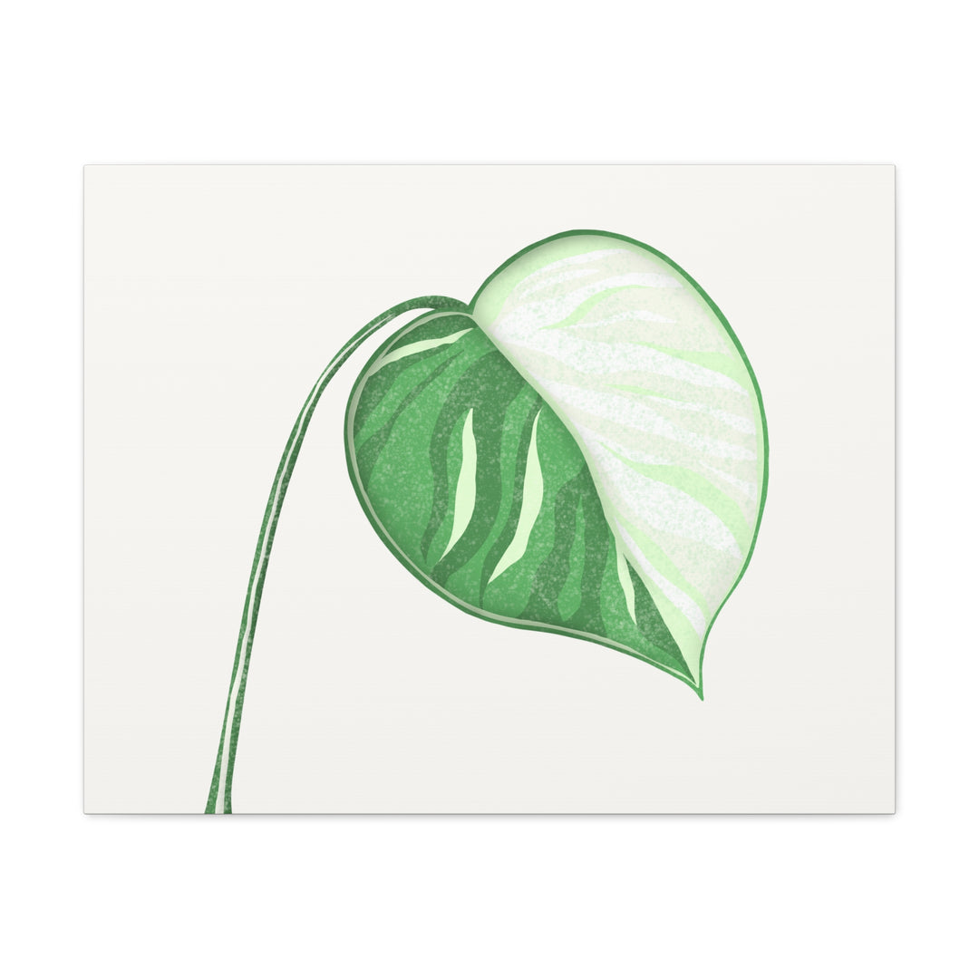 Monstera Albo Canvas Large Stretched Premium Quality Cotton Canvas Wall Art Tropical Leaf Poster Decor