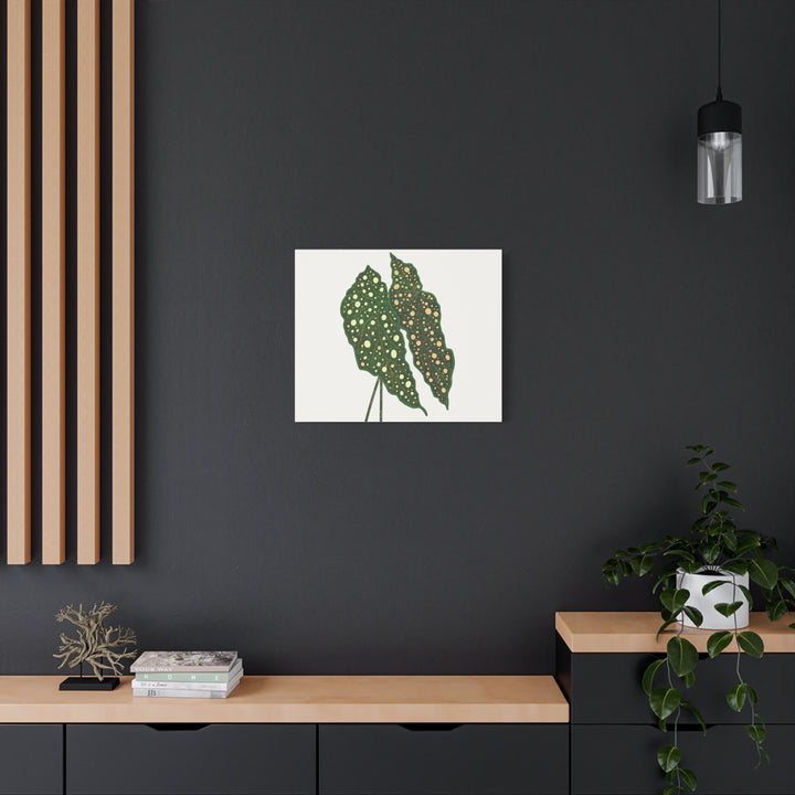 Begonia Maculata Canvas Premium Botanical Wall Art Print On Cotton Canvas With Matte Finish For Indoor Decor