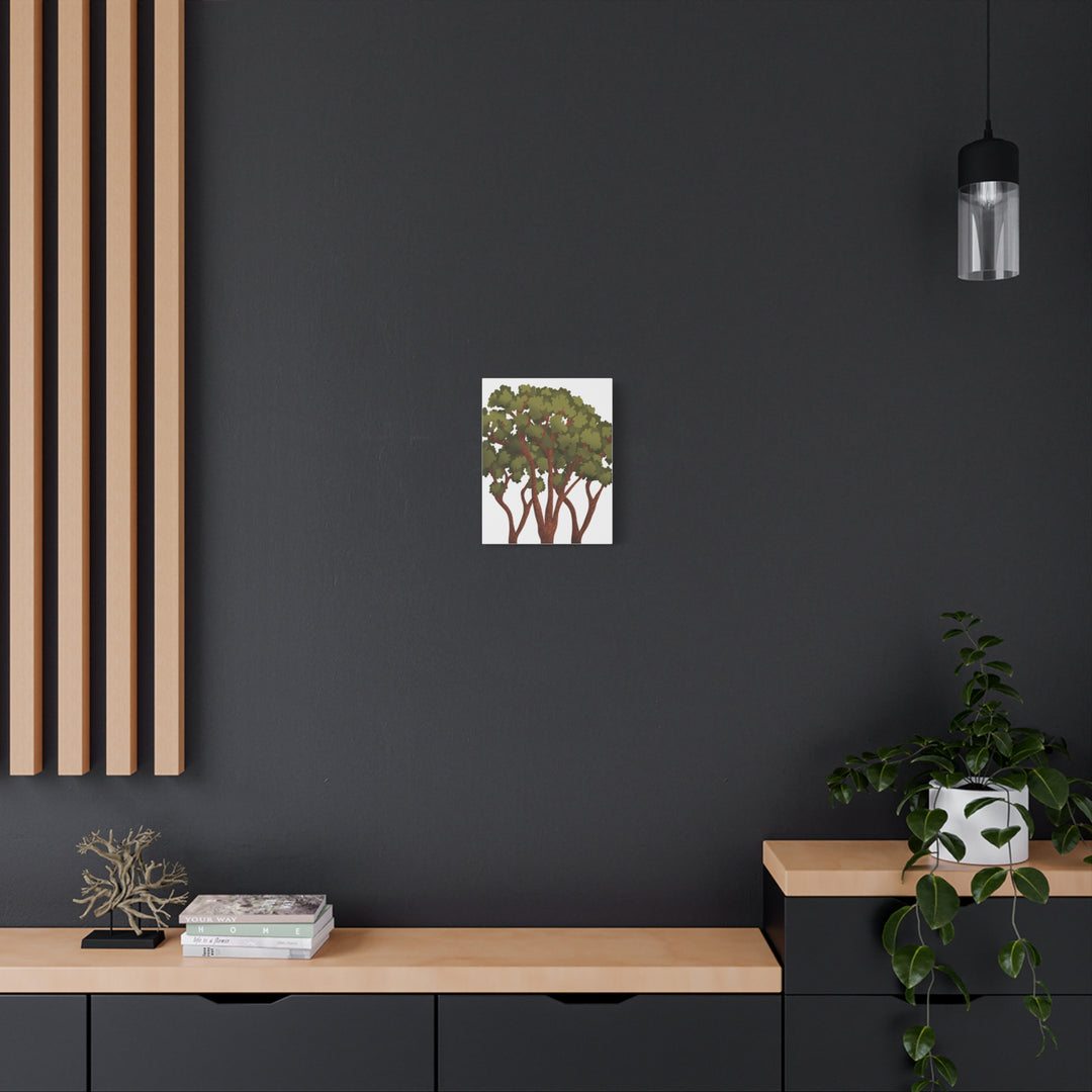 Pacific Madrone Canvas Print – Wall Art