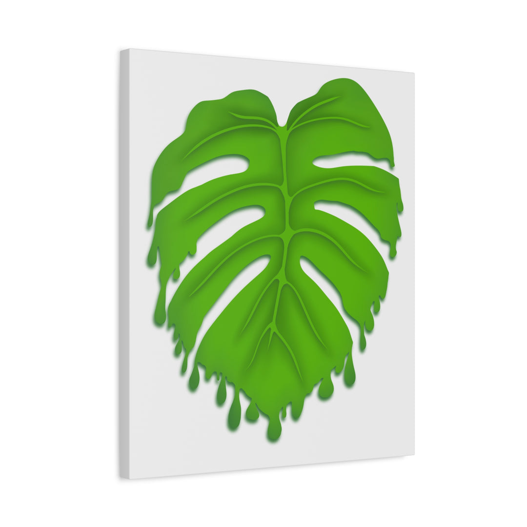 Melting Monstera Canvas Wall Art Large Botanical Print On Premium Cotton With Matte Finish For Indoor Decor