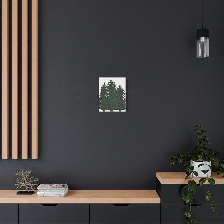 Douglas Fir Canvas Print – Wall Art