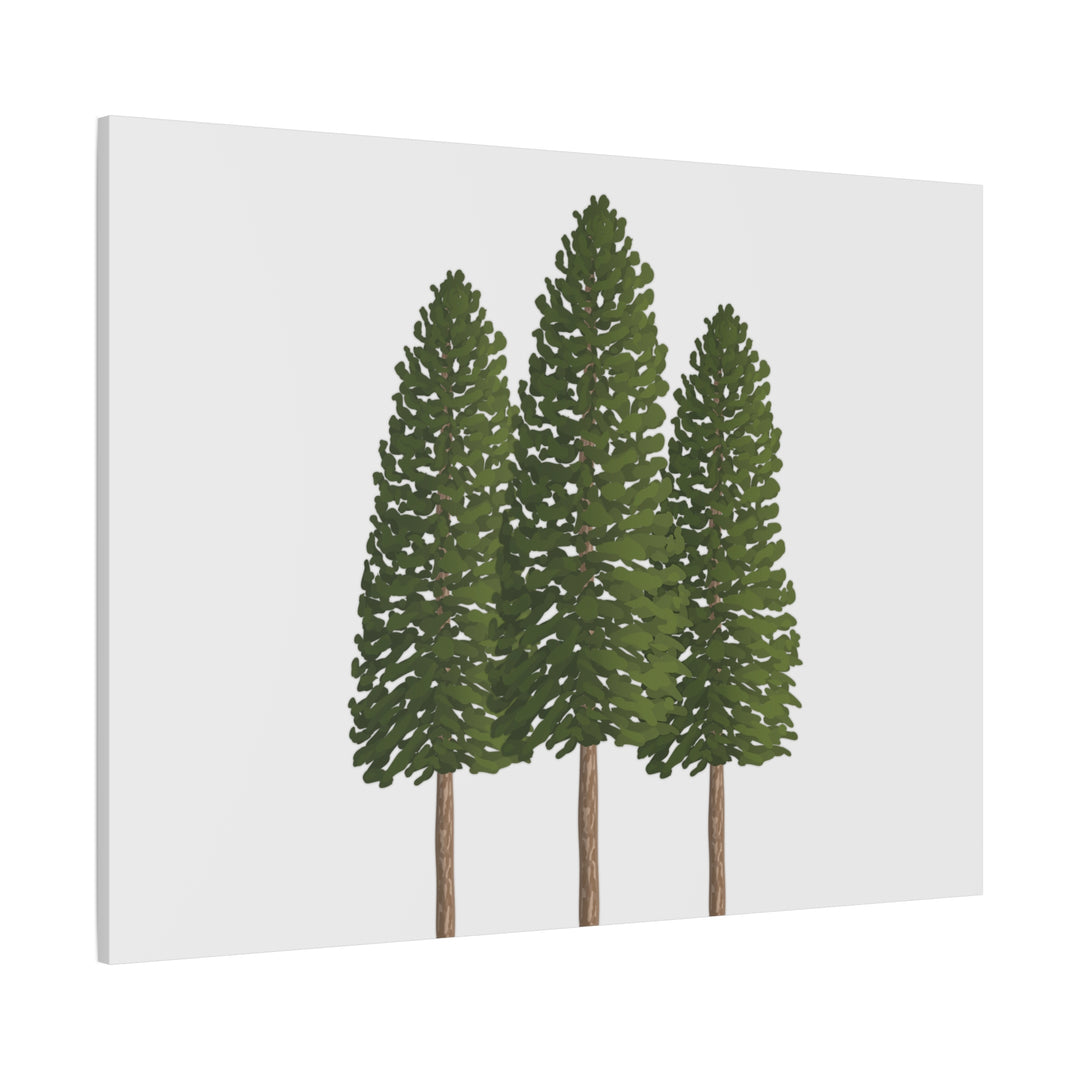 Three Ponderosa Pine Canvas Wall Art Matte Stretched Print Minimalist Forest Landscape Decor