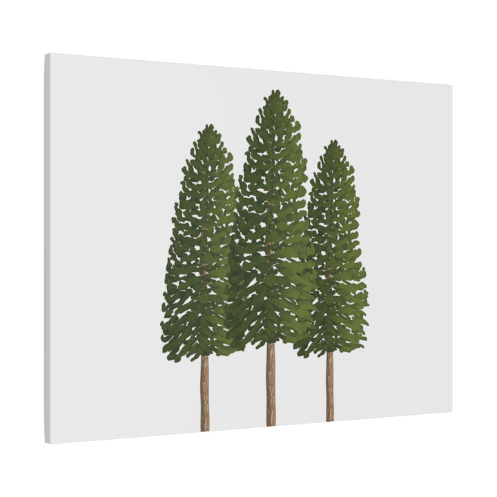 Three Ponderosa Pine Canvas Wall Art Matte Stretched Print Minimalist Forest Landscape Decor