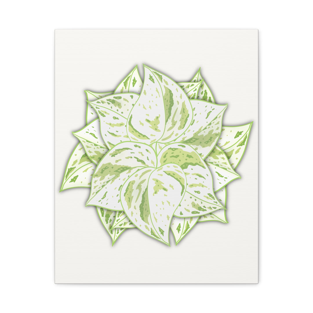 Snow Queen Pothos Canvas Wall Art Variegated Indoor Plant Leaf Poster Print Cotton Canvas