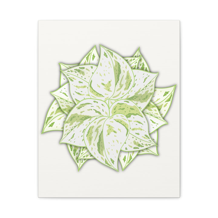 Snow Queen Pothos Canvas Wall Art Variegated Indoor Plant Leaf Poster Print Cotton Canvas