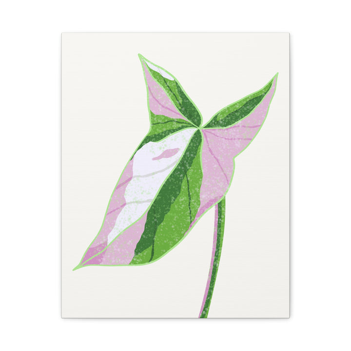 Syngonium Tricolor Canvas Print – Botanical Wall Art - The Potted Pixel