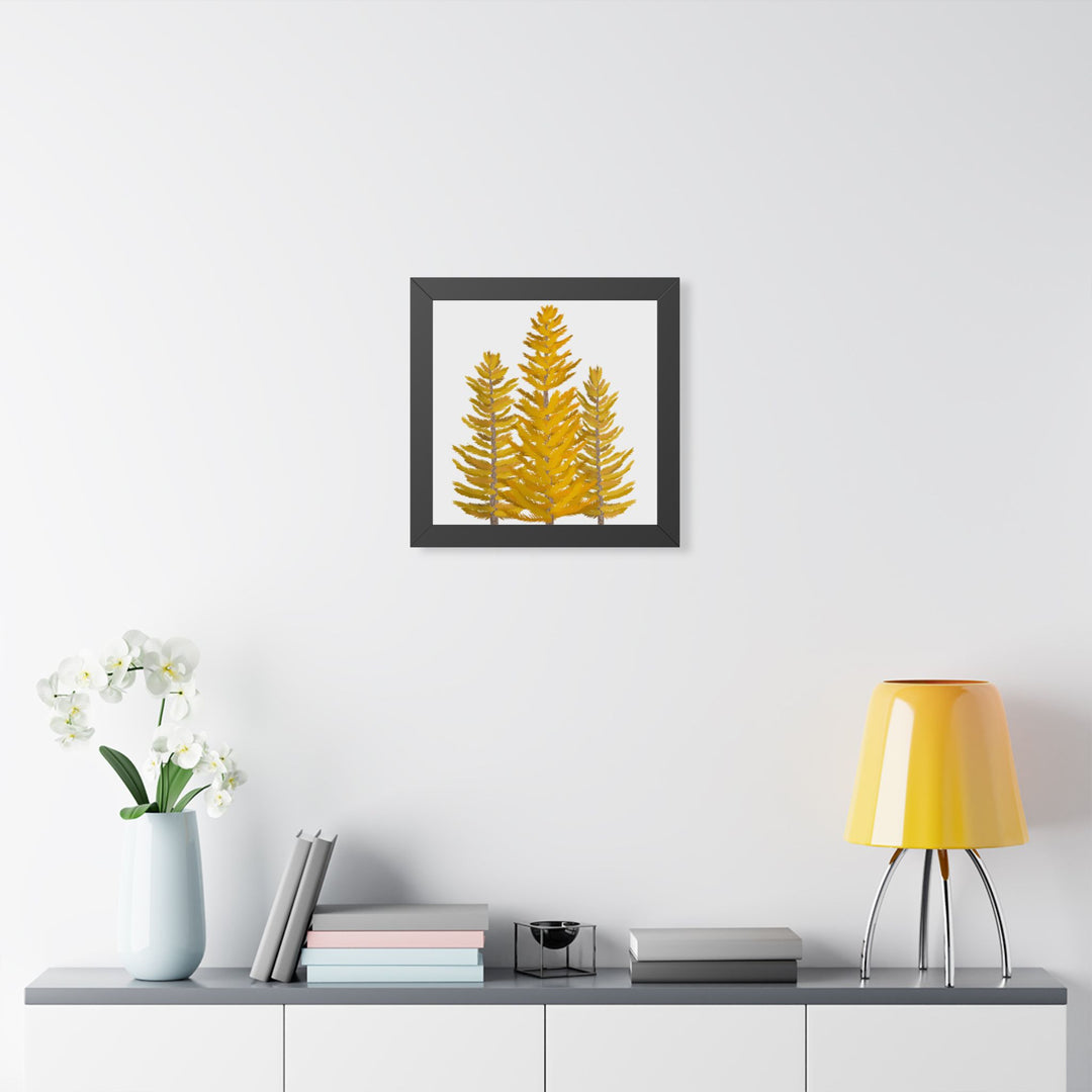 Western Larch Framed Print – Wall Art