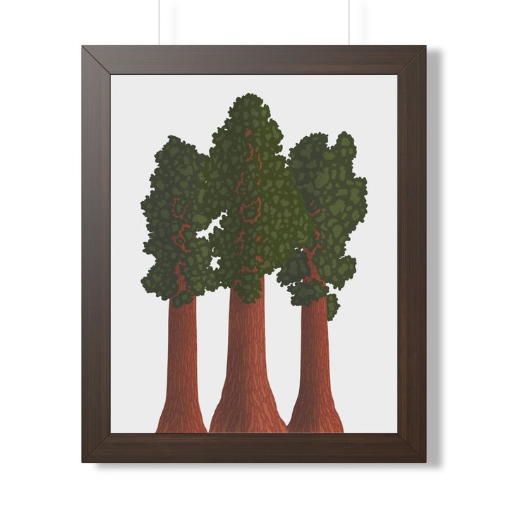 Giant Sequoias Framed Print – Wall Art