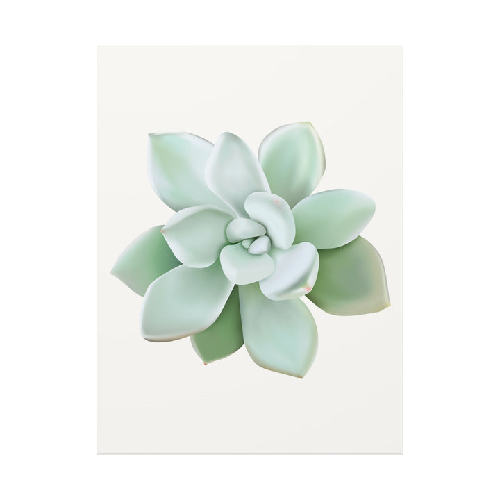 Succulent Canvas Art Pachyveria Haagei Print On Matte Finish Canvas Botanical Wall Decor