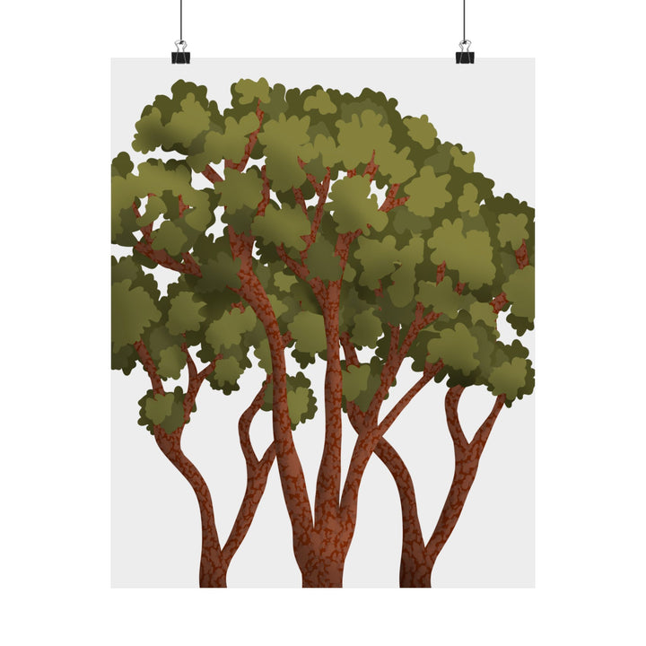 Pacific Madrone Print – Unframed Wall Art