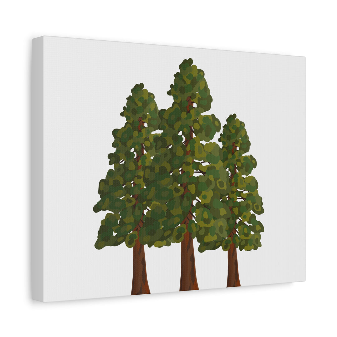 Coastal Redwoods Matte Canvas Print On 1.25 Inch Stretched Canvas For Serene Forest Wall Art In Living Rooms
