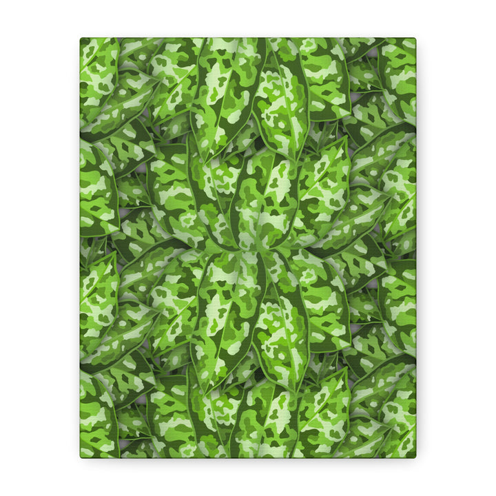 Aglaonema Pictum Canvas Wall Art Rare Plant Print Matte Finish For Modern Home Decor