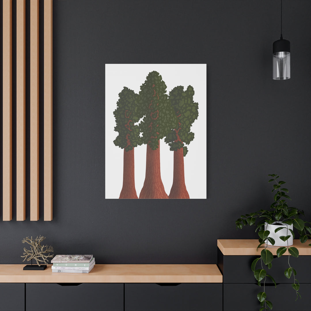 Giant Sequoias Canvas Print – Wall Art