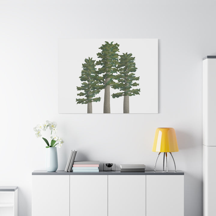 Sitka Spruce Canvas Print – Wall Art