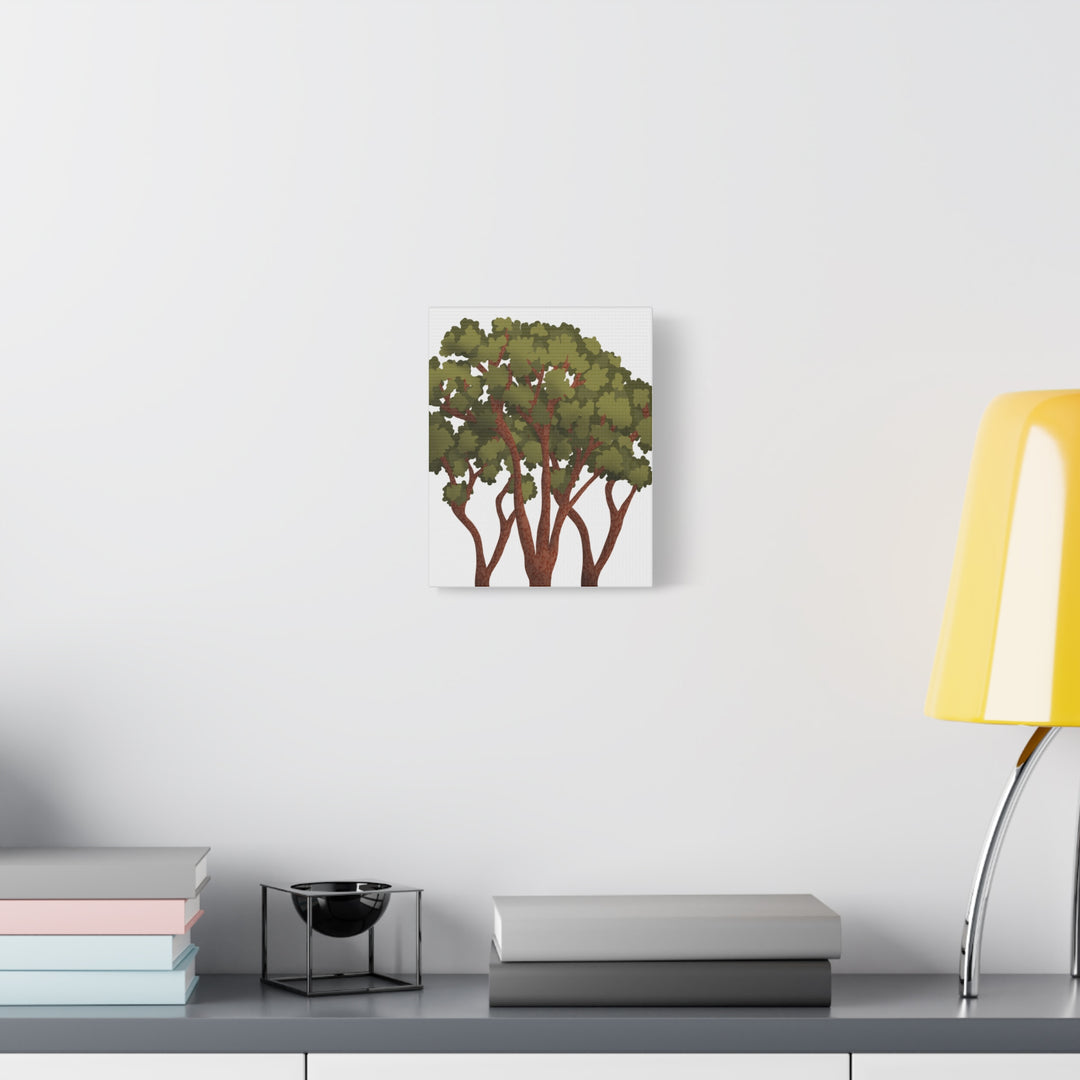 Pacific Madrone Canvas Print – Wall Art