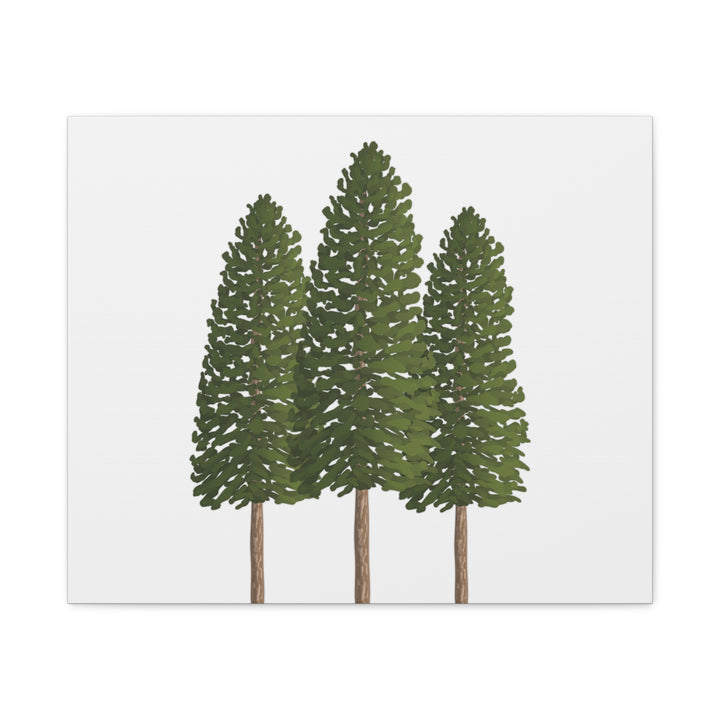 Three Ponderosa Pine Canvas Wall Art Matte Stretched Print Minimalist Forest Landscape Decor