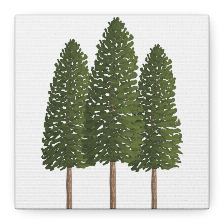 Three Ponderosa Pine Canvas Wall Art Matte Stretched Print Minimalist Forest Landscape Decor