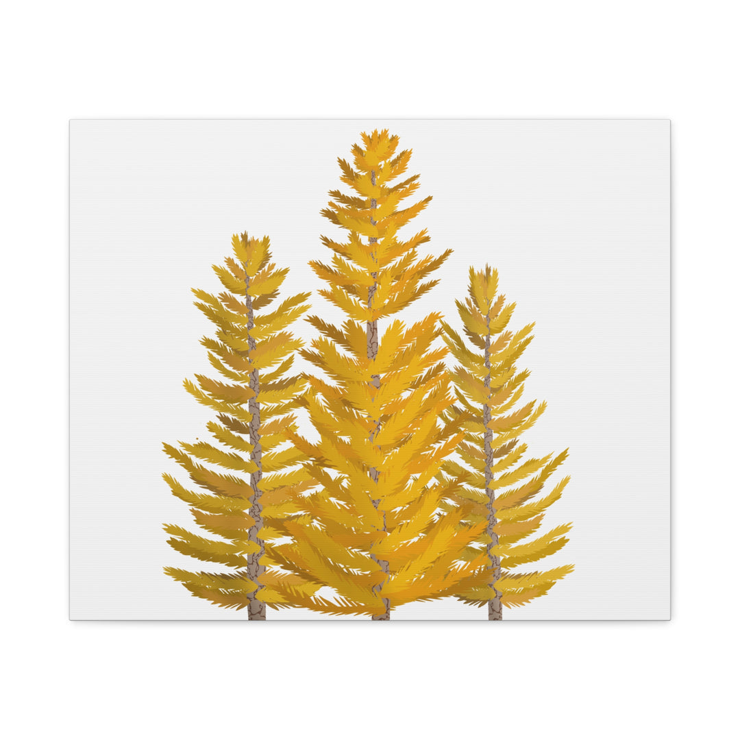 Western Larch Canvas Print – Wall Art