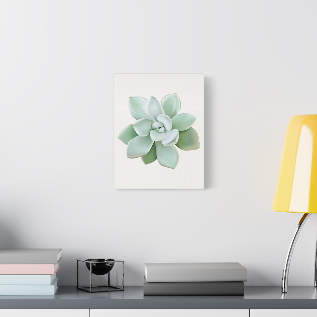 Succulent Canvas Art Pachyveria Haagei Print On Matte Finish Canvas Botanical Wall Decor