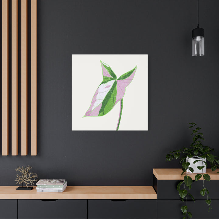 Syngonium Tricolor Canvas Print – Botanical Wall Art - The Potted Pixel