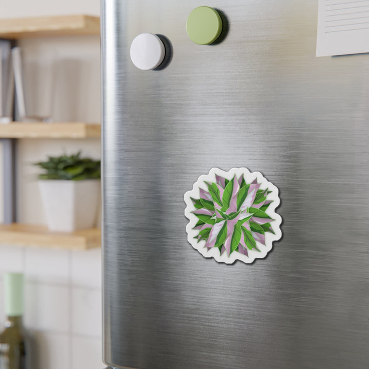 Syngonium Tricolor Magnet