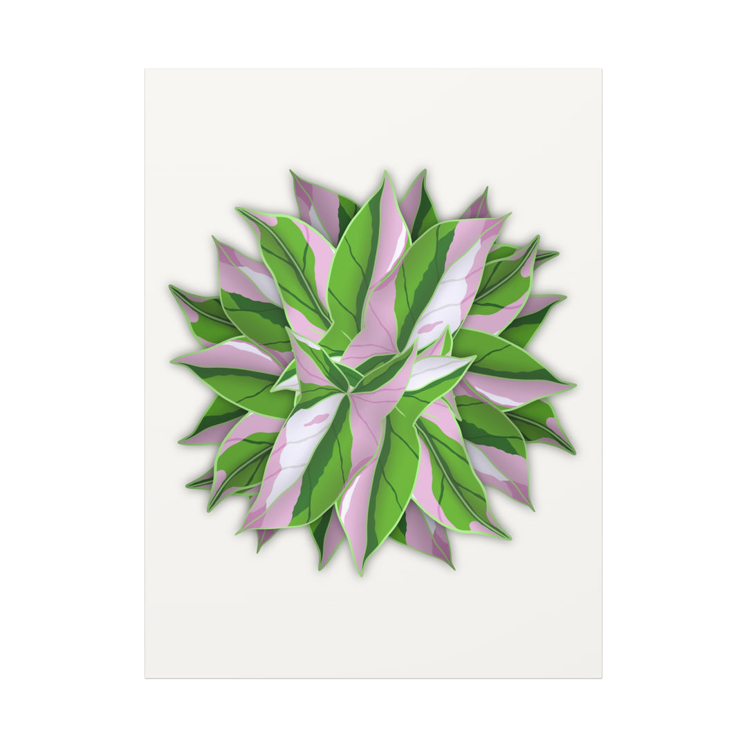 Syngonium Tricolor Canvas Print – Botanical Wall Art - The Potted Pixel