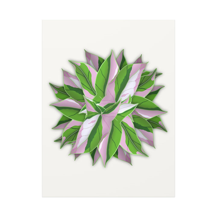 Syngonium Tricolor Canvas Print – Botanical Wall Art - The Potted Pixel