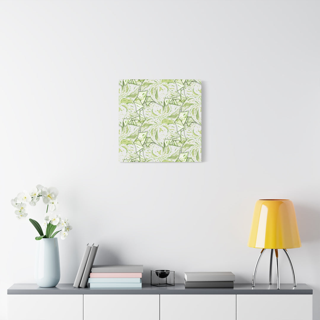 Snow Queen Pothos Canvas Print With Variegated White Leaves In Matte Finish For Modern Home Decor
