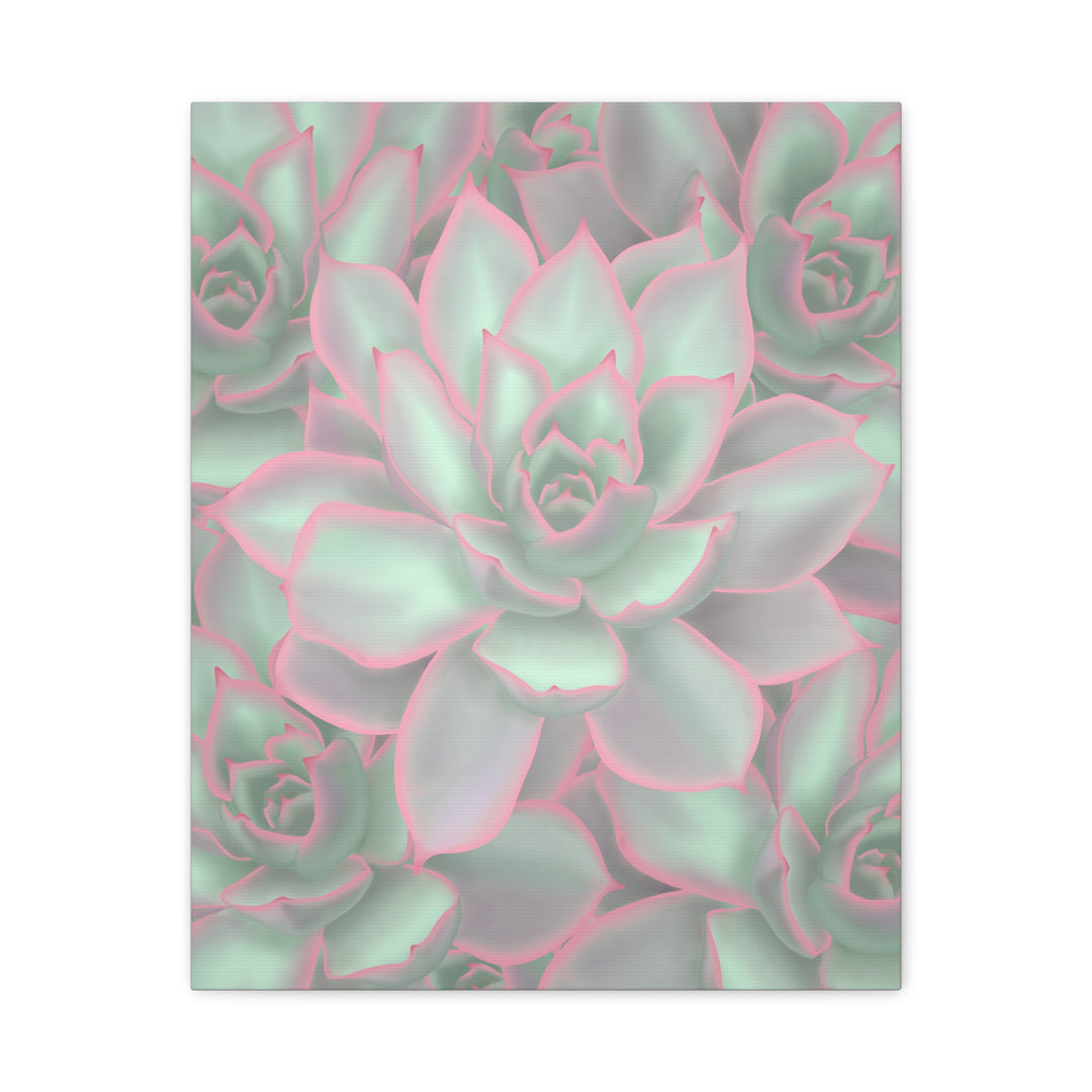 Echeveria Violet Queen Canvas Wall Art Succulent Print Matte Botanical Decor For Indoor Spaces