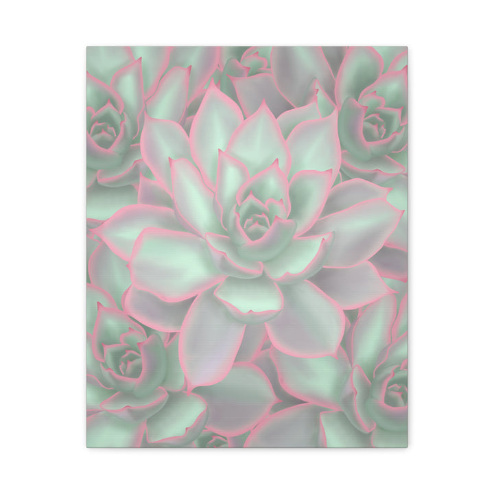 Echeveria Violet Queen Canvas Wall Art Succulent Print Matte Botanical Decor For Indoor Spaces