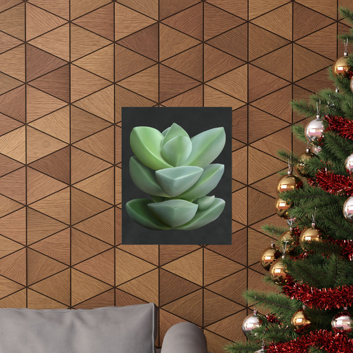 Crassula Botanical Print – Unframed Wall Art