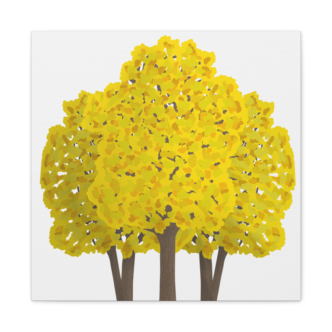 Big Leaf Maple Canvas Print – Wall Art