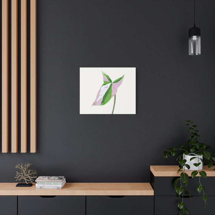 Syngonium Tricolor Canvas Print – Botanical Wall Art - The Potted Pixel