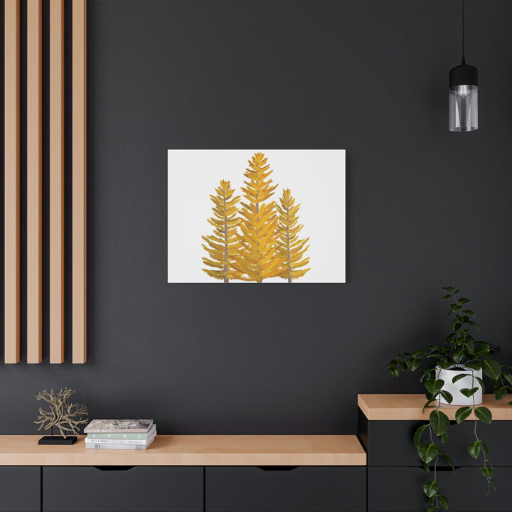 Western Larch Canvas Print – Wall Art