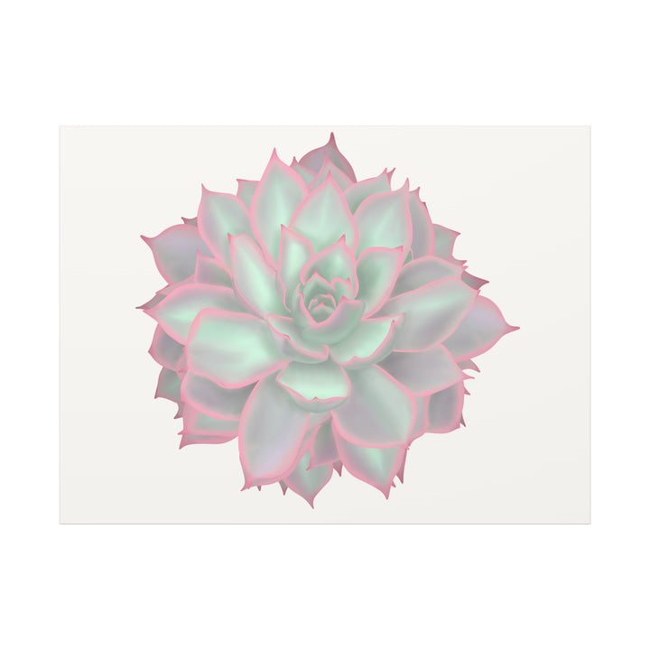 Echeveria Violet Queen Canvas Wall Art Rosette Succulent Print With Matte Finish