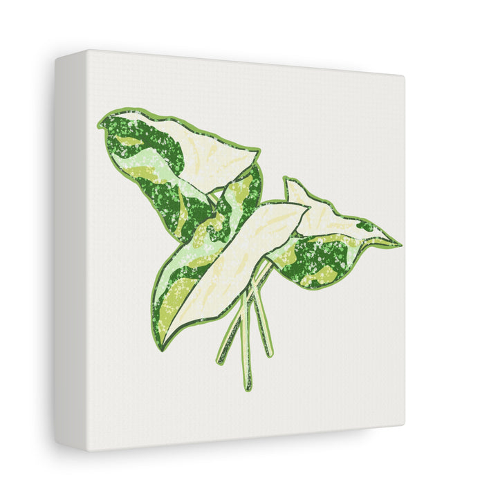 Marble Syngonium Canvas Botanical Wall Art Stretched Print On Durable Cotton Canvas Matte Finish