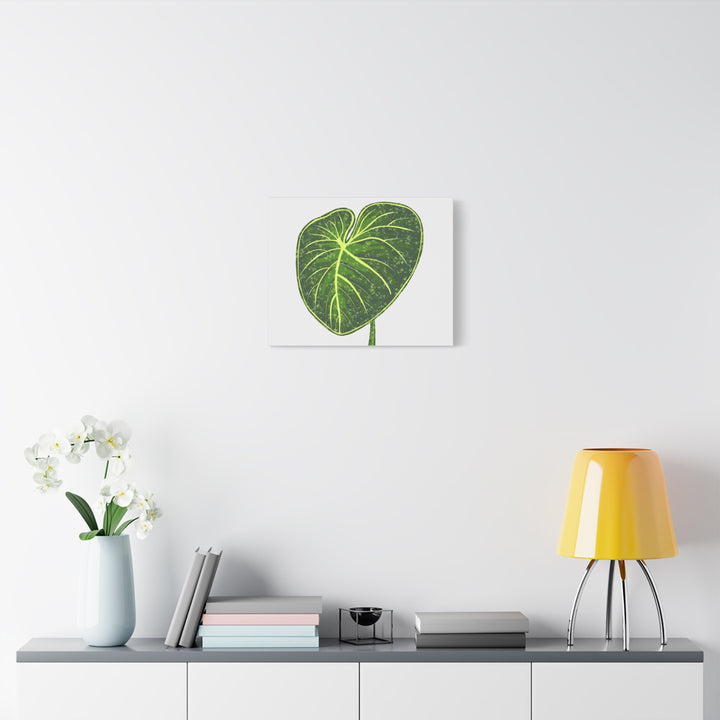 Philodendron Gloriosum Canvas Print Stretched Wall Art Botanical Leaf Print Matte Finish Gallery Wrapped Canvas