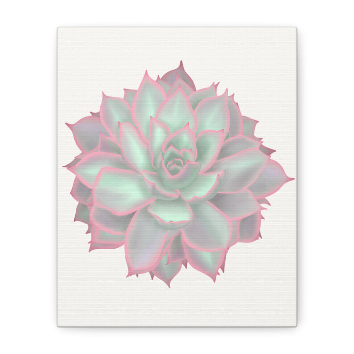 Echeveria Violet Queen Canvas Wall Art Rosette Succulent Print With Matte Finish