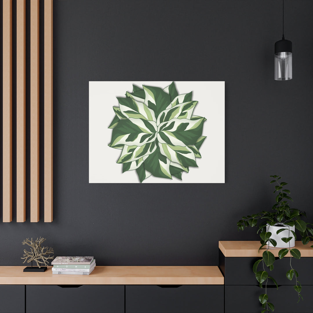 Calathea White Fusion Canvas Botanical Art Print On Stretched Cotton Canvas For Indoor Wall Decor
