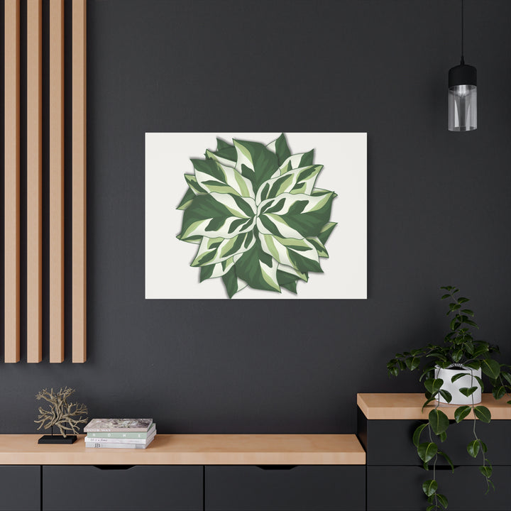 Calathea White Fusion Canvas Botanical Art Print On Stretched Cotton Canvas For Indoor Wall Decor