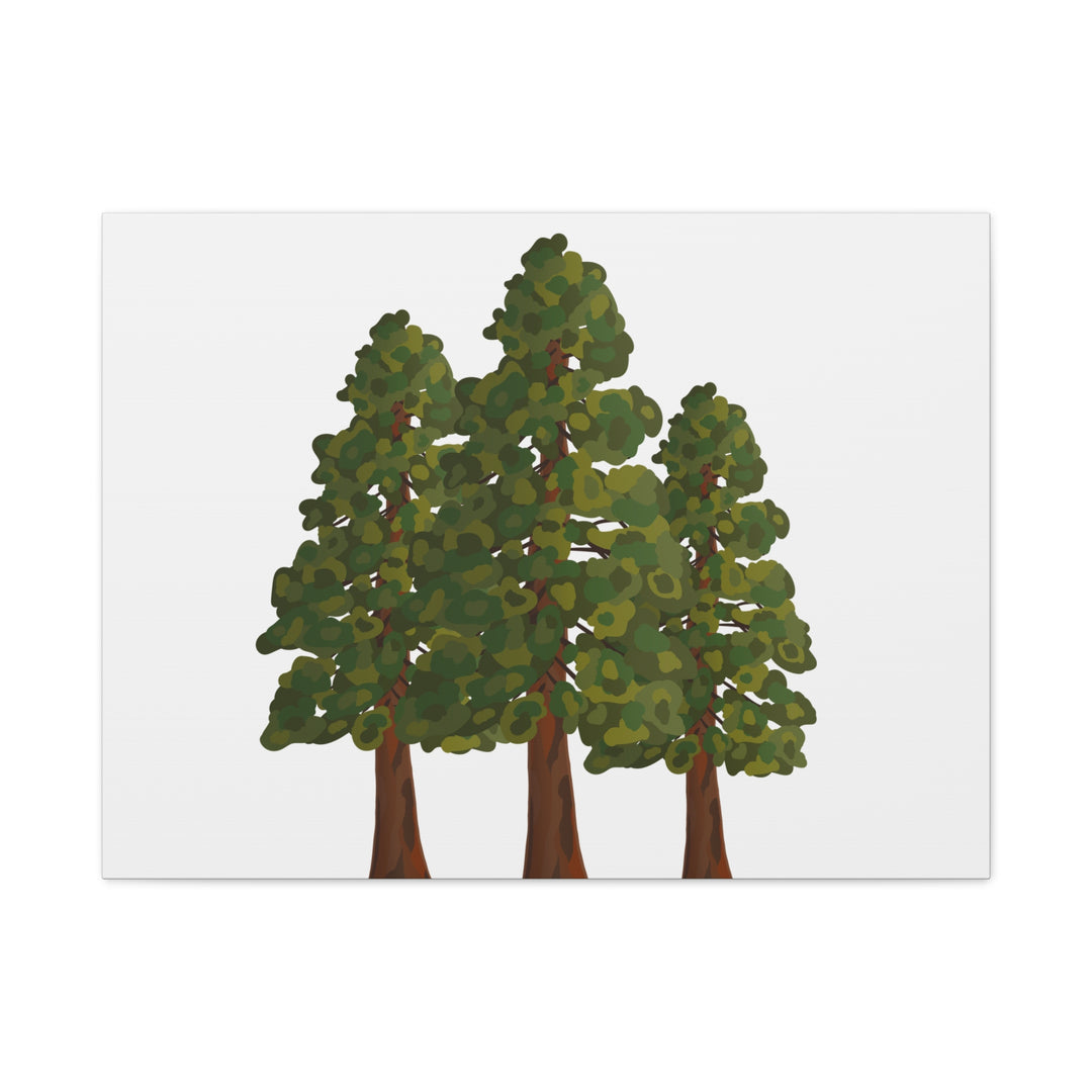 Coastal Redwoods Matte Canvas Print On 1.25 Inch Stretched Canvas For Serene Forest Wall Art In Living Rooms