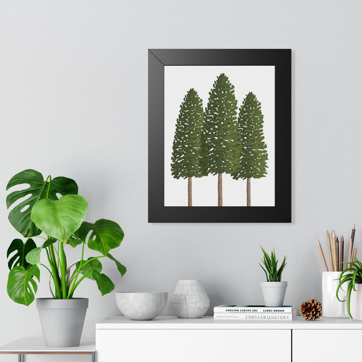 Ponderosa Pine Framed Print – Wall Art