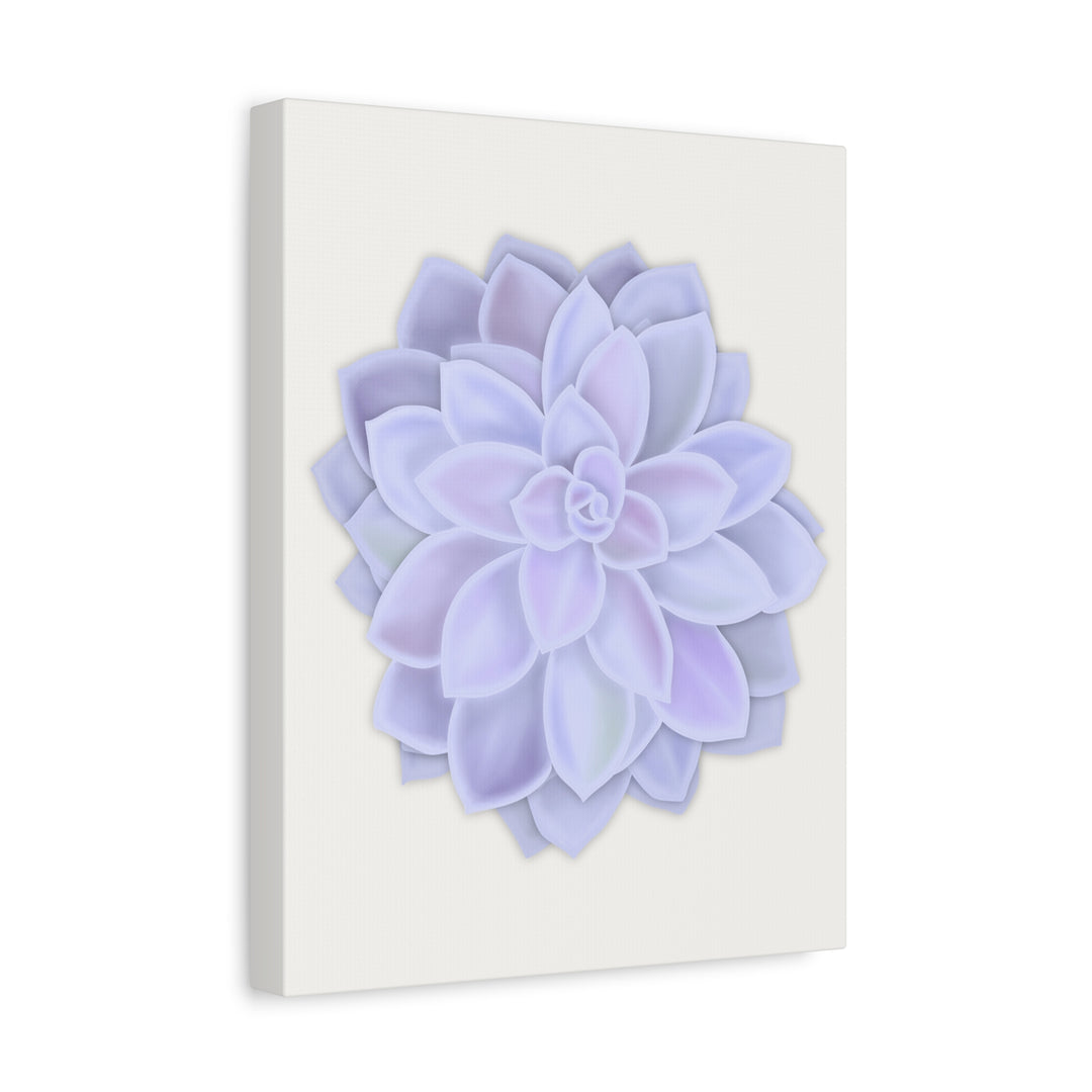 Succulent Canvas Art Pastel Rosette Canvas Durable Cotton Print Botanical Wall Art