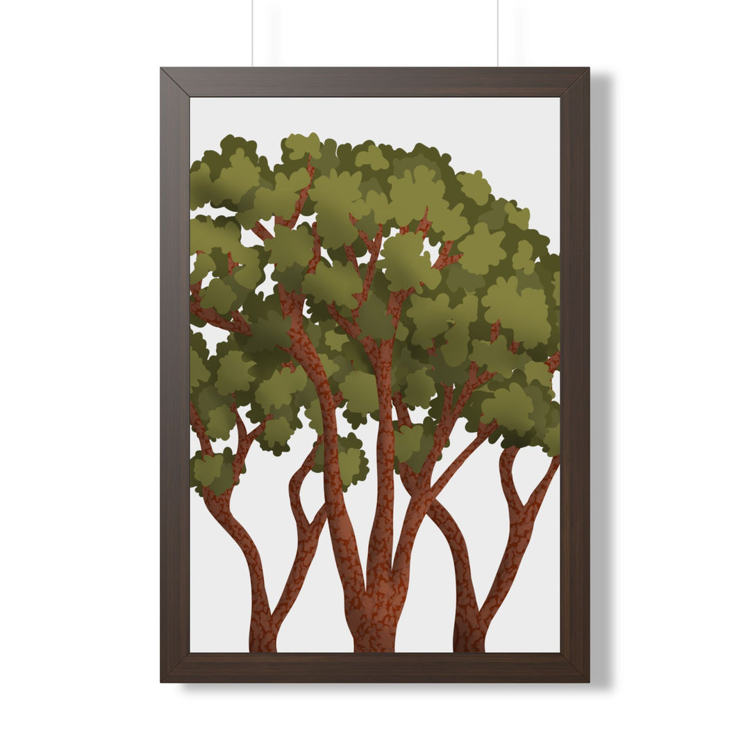 Pacific Madrone Framed Print – Wall Art