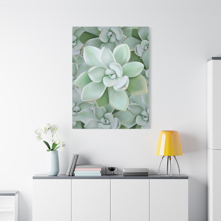 Pachyveria Haagei Succulent Pattern Canvas Art for Modern Home Decor 16x20 Matte Print