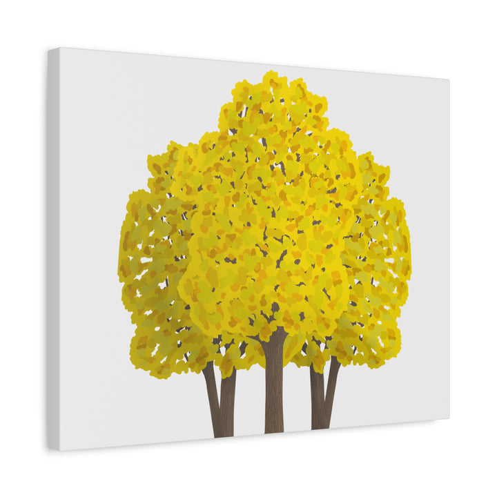 Big Leaf Maple Canvas Print – Wall Art