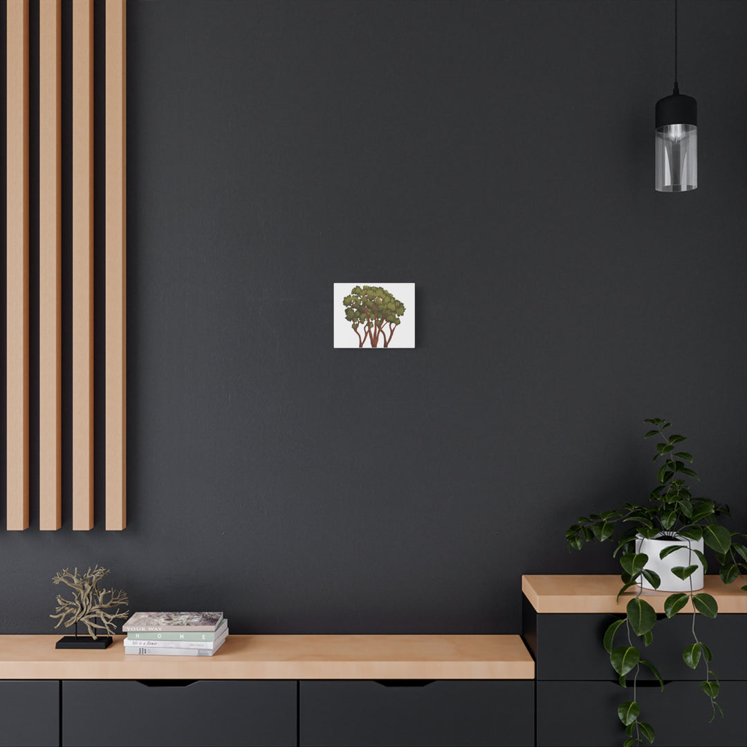Pacific Madrone Canvas Print – Wall Art