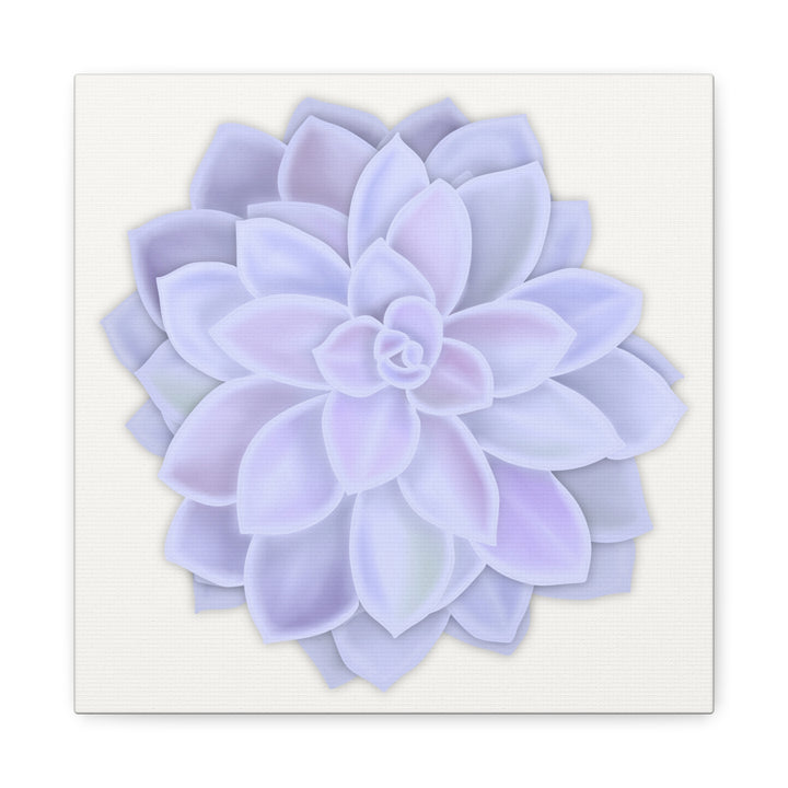 Succulent Canvas Art Pastel Rosette Canvas Durable Cotton Print Botanical Wall Art