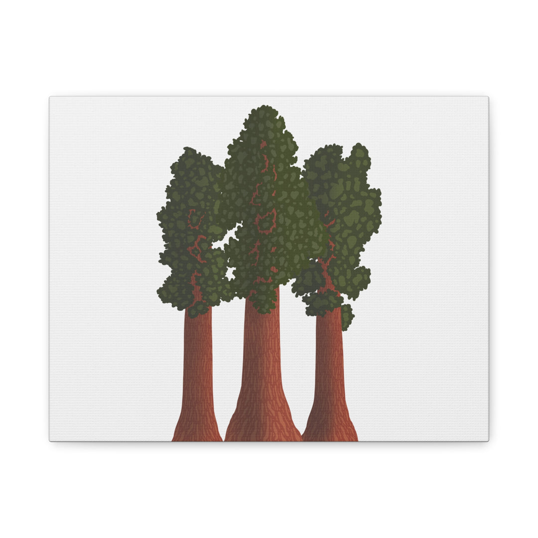 Giant Sequoias Canvas Print – Wall Art