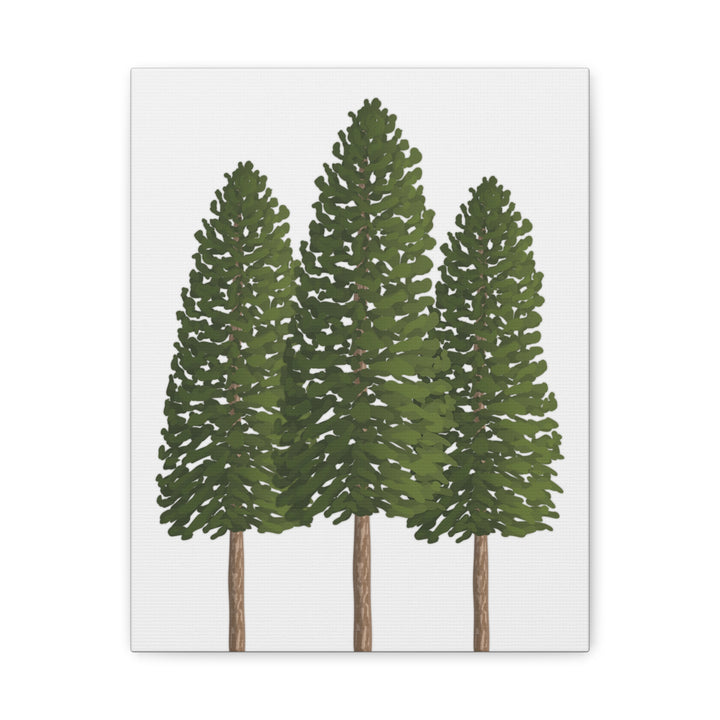 Three Ponderosa Pine Canvas Wall Art Matte Stretched Print Minimalist Forest Landscape Decor